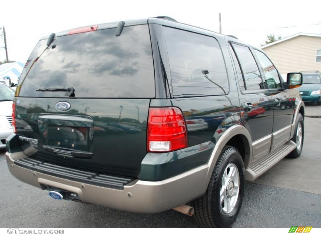 2003 Expedition Eddie Bauer - Aspen Green Metallic / Medium Parchment photo #9