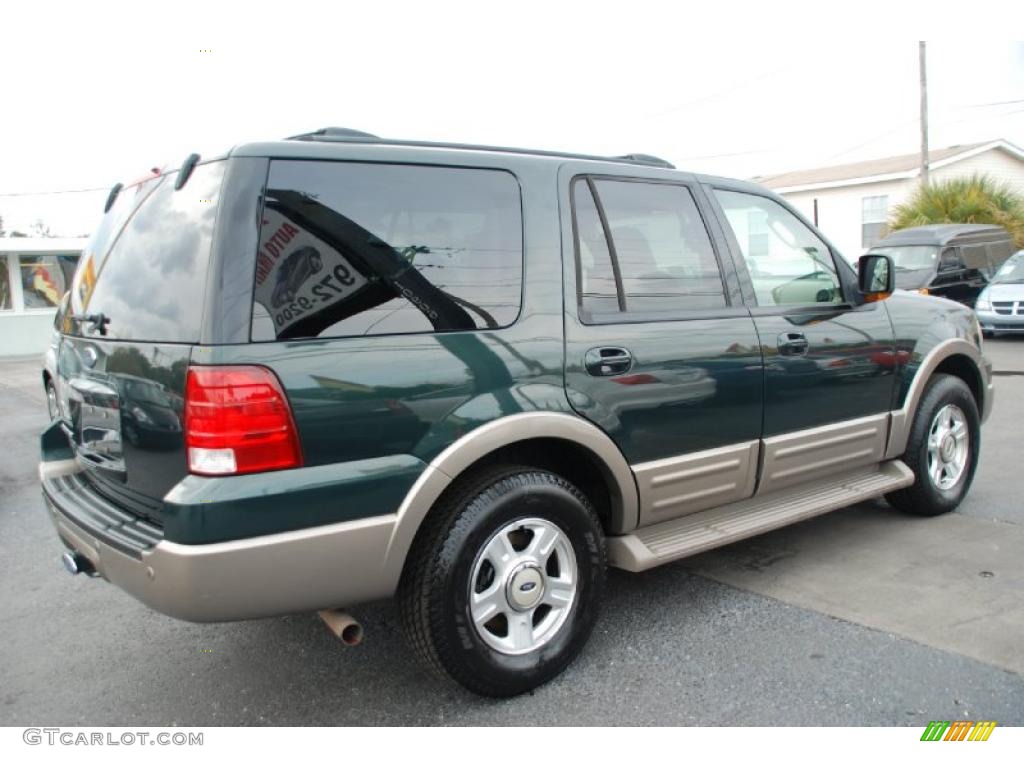 2003 Expedition Eddie Bauer - Aspen Green Metallic / Medium Parchment photo #12