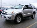 Titanium Metallic - 4Runner SR5 Photo No. 7