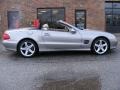 Pewter Metallic - SL 500 Roadster Photo No. 3