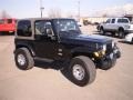 Black Clearcoat - Wrangler Sahara 4x4 Photo No. 3