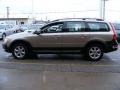 Oyster Grey Metallic - XC70 AWD Photo No. 6