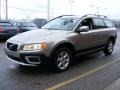Oyster Grey Metallic - XC70 AWD Photo No. 7