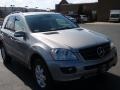 Pewter Metallic - ML 350 4Matic Photo No. 4