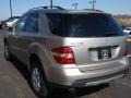Pewter Metallic - ML 350 4Matic Photo No. 10