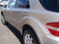 Pewter Metallic - ML 350 4Matic Photo No. 11