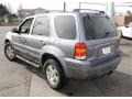 2007 Dark Stone Metallic Ford Escape Limited 4WD  photo #9