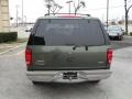 2000 Estate Green Metallic Ford Expedition Eddie Bauer  photo #7