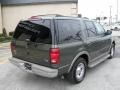 2000 Estate Green Metallic Ford Expedition Eddie Bauer  photo #8