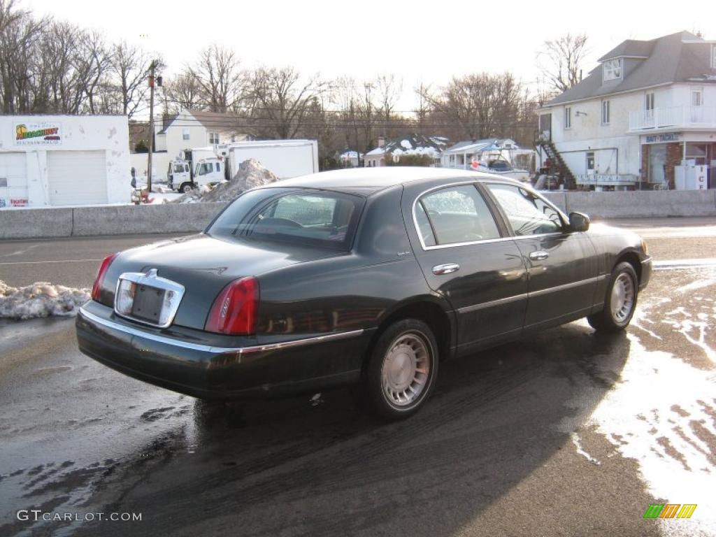 2002 Town Car Executive - Aspen Green Metallic / Light Parchment photo #3