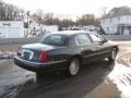 Aspen Green Metallic - Town Car Executive Photo No. 3