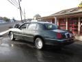 Aspen Green Metallic - Town Car Executive Photo No. 4