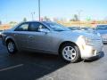Light Platinum - CTS Sedan Photo No. 2