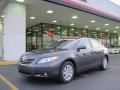 2009 Magnetic Gray Metallic Toyota Camry XLE  photo #1