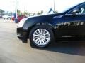 Black Raven - CTS 3.0 Sedan Photo No. 4
