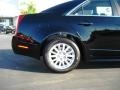 Black Raven - CTS 3.0 Sedan Photo No. 10