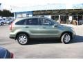 2007 Green Tea Metallic Honda CR-V EX-L 4WD  photo #5