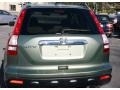 2007 Green Tea Metallic Honda CR-V EX-L 4WD  photo #7