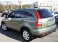 2007 Green Tea Metallic Honda CR-V EX-L 4WD  photo #9