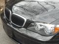 2007 Black Sapphire Metallic BMW 7 Series 750i Sedan  photo #16