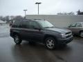 Graphite Metallic - TrailBlazer LS 4x4 Photo No. 1