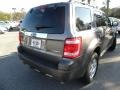 2009 Sterling Grey Metallic Ford Escape Limited V6 4WD  photo #14