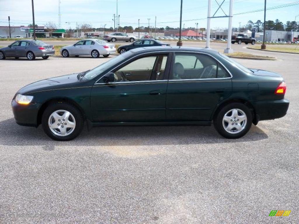 1999 Accord EX V6 Sedan - Dark Emerald Pearl / Ivory photo #6