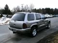 2001 Light Pewter Metallic Dodge Durango SLT 4x4  photo #4