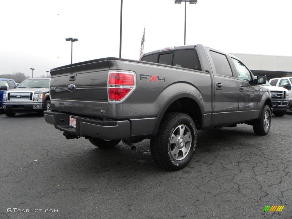 2010 F150 FX4 SuperCrew 4x4 - Sterling Grey Metallic / Black photo #3