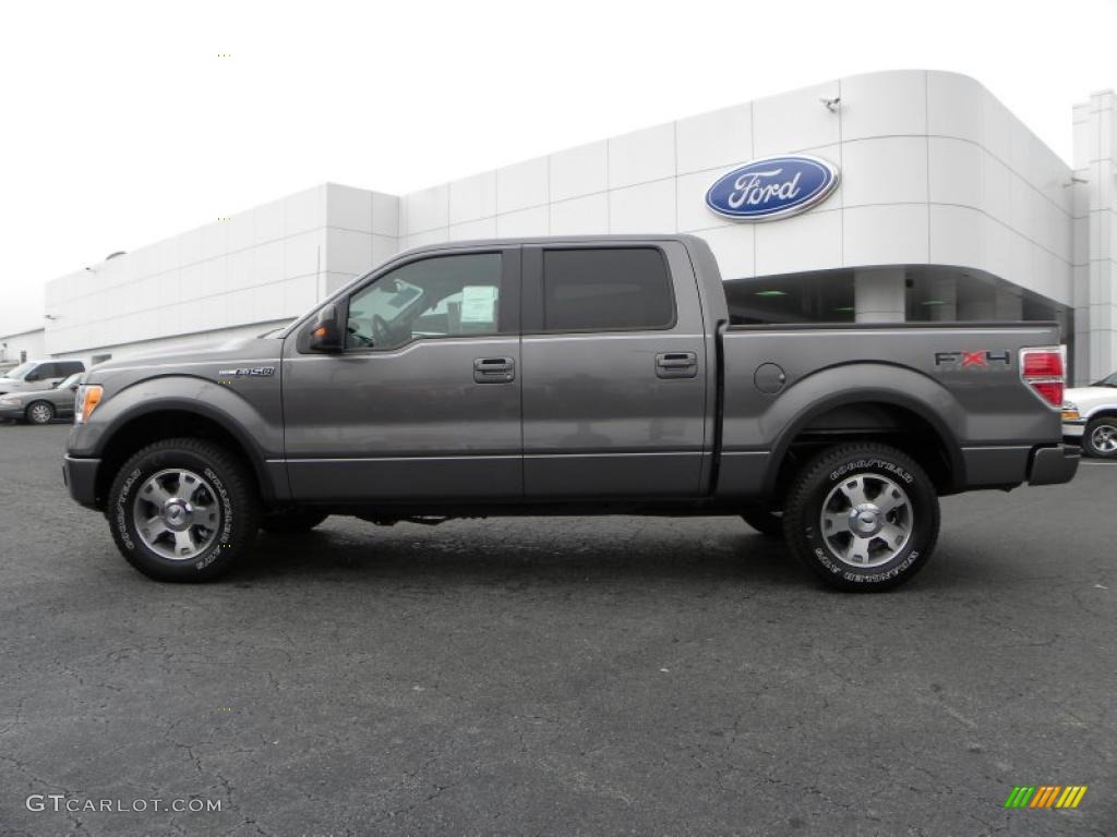 2010 F150 FX4 SuperCrew 4x4 - Sterling Grey Metallic / Black photo #5