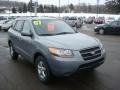 2007 Platinum Sage Hyundai Santa Fe GLS  photo #6