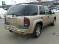 2006 Sandstone Metallic Chevrolet TrailBlazer LS  photo #5