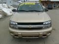 Sandstone Metallic - TrailBlazer LS Photo No. 7