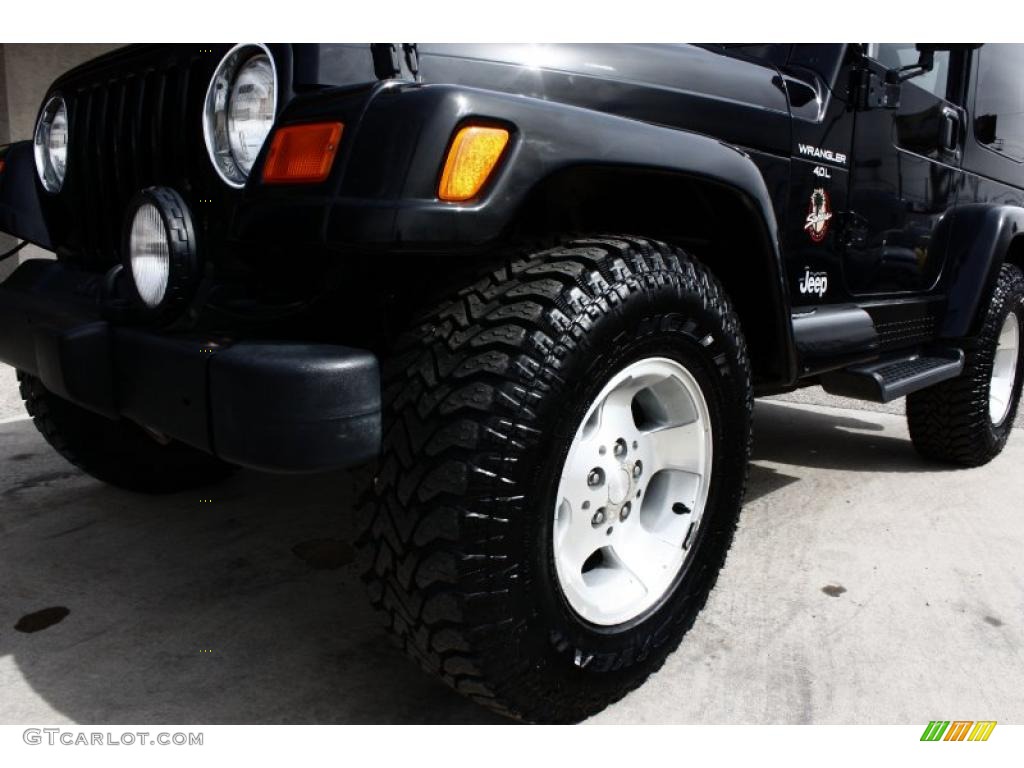 2001 Wrangler Sahara 4x4 - Black / Camel/Dark Green photo #15