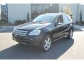 Black - ML 350 4Matic Photo No. 13
