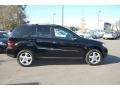 Black - ML 350 4Matic Photo No. 15