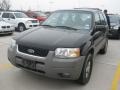 Black 2001 Ford Escape XLT V6