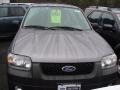 2007 Tungsten Grey Metallic Ford Escape XLT V6 4WD  photo #2