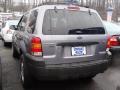 2007 Tungsten Grey Metallic Ford Escape XLT V6 4WD  photo #6