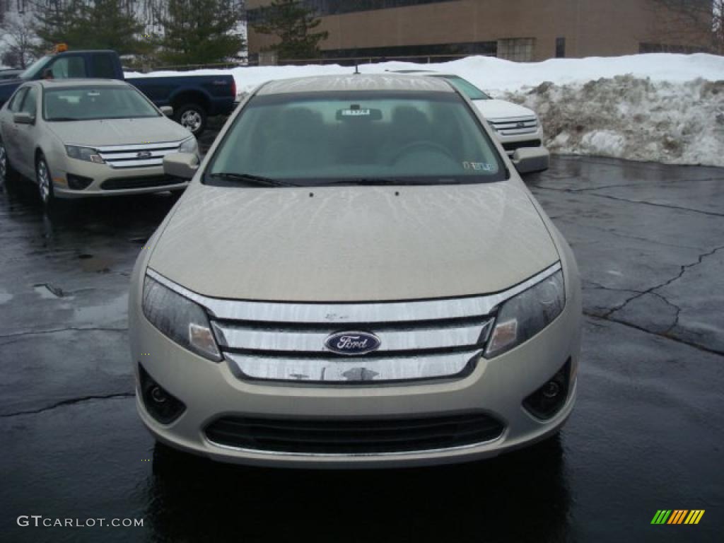 2010 Fusion SE - Smokestone Metallic / Medium Light Stone photo #11