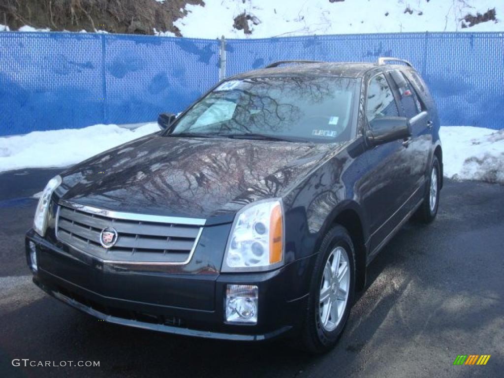 2004 SRX V6 AWD - Moonstone Metallic / Light Gray photo #8