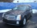 2004 Moonstone Metallic Cadillac SRX V6 AWD  photo #8