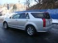 Light Platinum - SRX 4 V6 AWD Photo No. 3