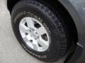 Storm Gray - Frontier NISMO King Cab 4x4 Photo No. 21