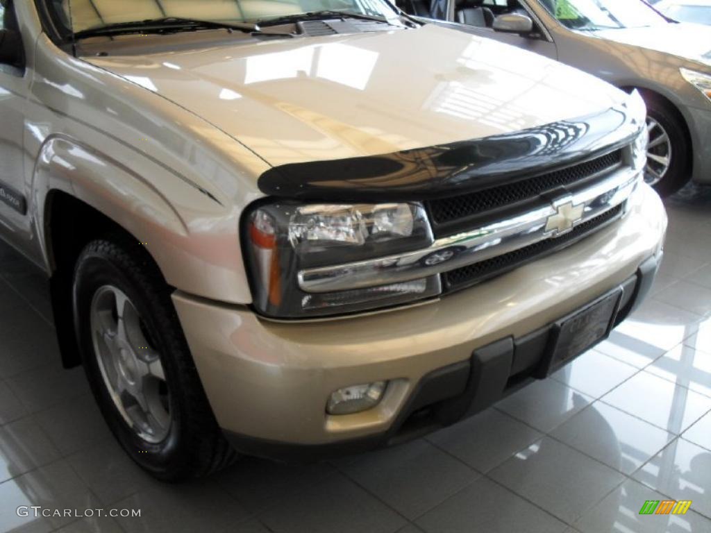 2004 TrailBlazer EXT LS 4x4 - Sandstone Metallic / Light Cashmere photo #12