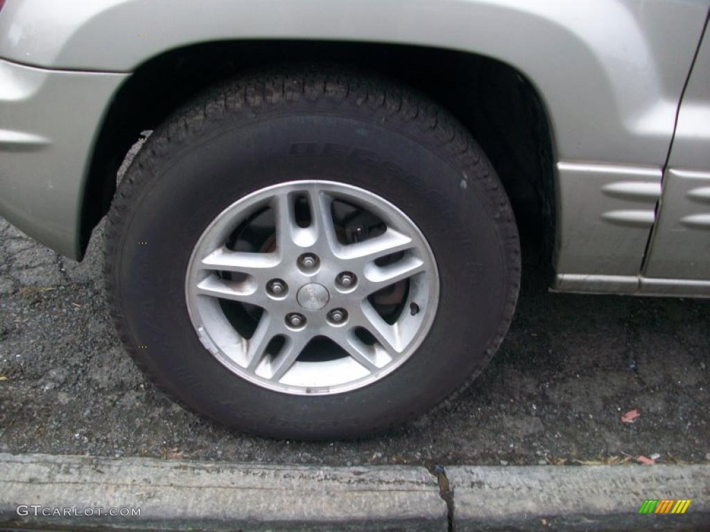 2004 Grand Cherokee Laredo 4x4 - Light Pewter Metallic / Dark Slate Gray photo #24