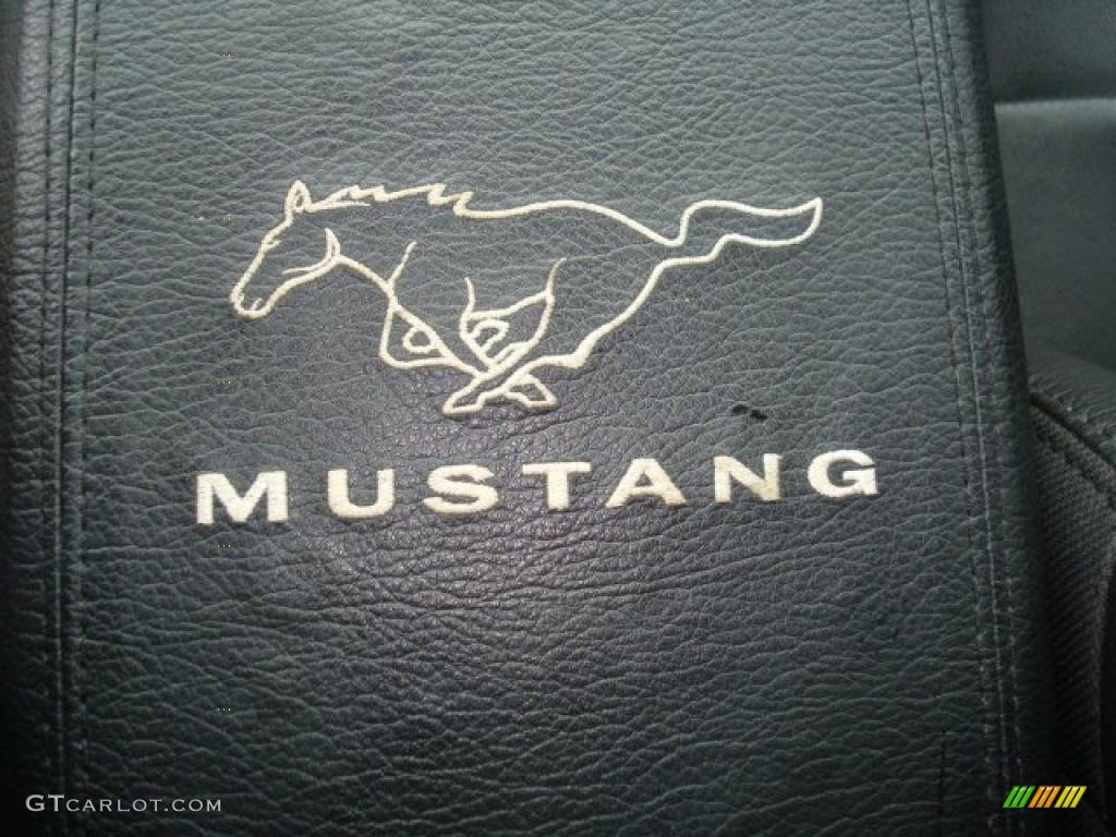2007 Mustang V6 Premium Convertible - Redfire Metallic / Medium Parchment photo #14