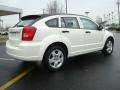 Stone White - Caliber SXT Photo No. 6