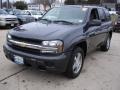 Graphite Metallic - TrailBlazer LS 4x4 Photo No. 1