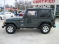 2004 Shale Green Metallic Jeep Wrangler X 4x4  photo #3